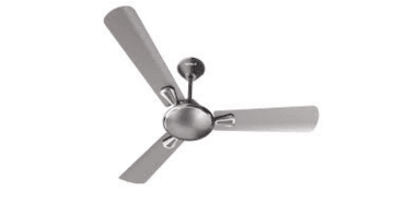 Havells Fan